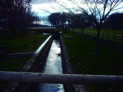 Detalle del Parque de la Dehesa de Ágreda